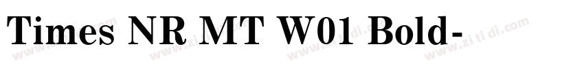 Times NR MT W01 Bold字体转换